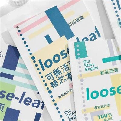 Τετράδιο δικτυωτό με λυτά φύλλα